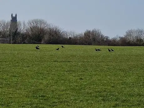 Windmill Hill