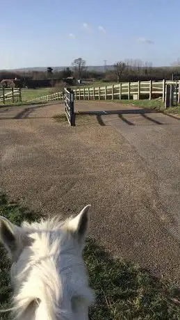 Photo de Ashley Harrison Eventing