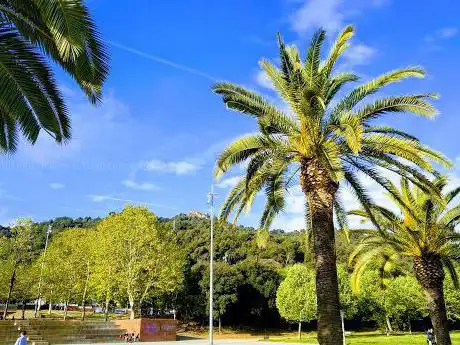 Photo de Parc de Ca n'Oller