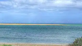 Photo de Banc des oiseaux