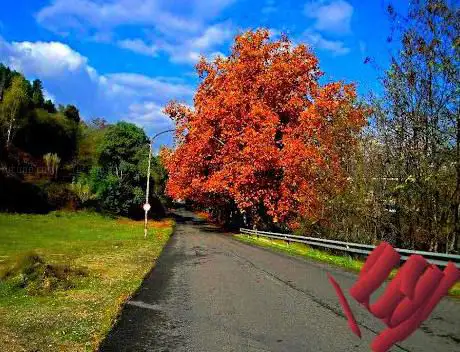 Camiño da Batundeira
