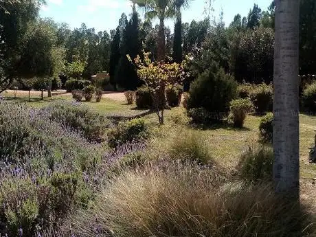 Photo de JardÃn de la Memoria