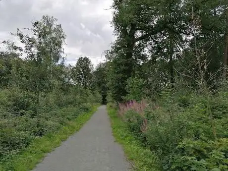 Hooggoedbos