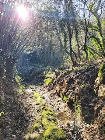 Camino del RÃ­o