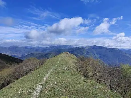 Monte Cafaggio