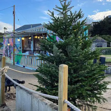 Prestige Christmas Trees