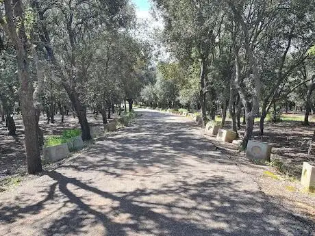 Bosco della Maviglia