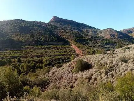 Photo de Parc Natural Serra Calderona