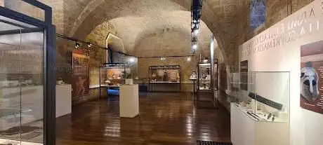Photo de Museo archeologico nazionale di Gioia del Colle