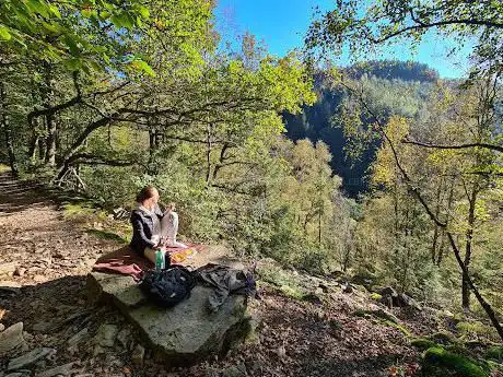 Photo de Vallée de la Warche