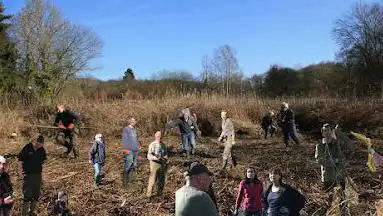Roselière de Gaillemarde Chemin de la Forêt CRA