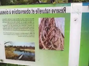 Photo de OBSERVATOIRE A OISEAUX
