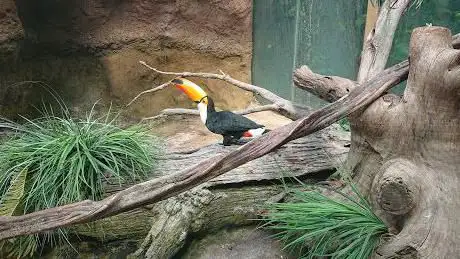 Vogelpark Avifauna