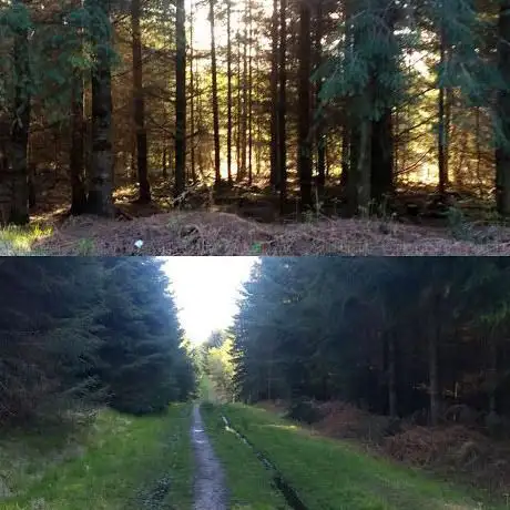 Haldon Hill
