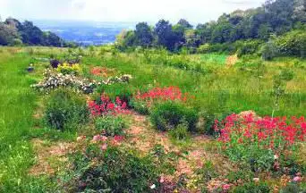 Photo de viridarium lab-garden