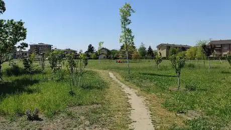 Il Bosco per la Citta'