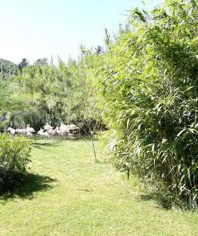 Photo de Giardini del Volturno