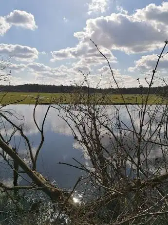 Brechtse Heide
