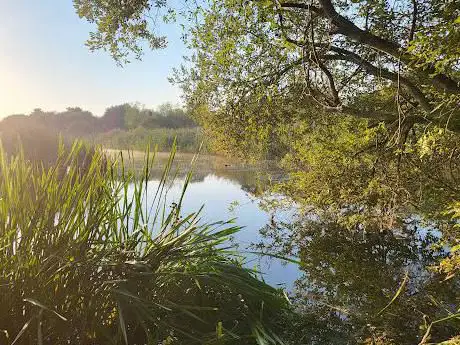 Photo de Avalon Hide
