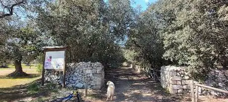 Photo de Parco Greci