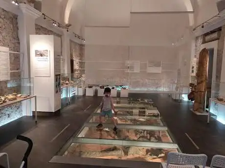 Photo de Museo Paleontológico de Alpuente