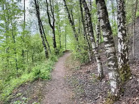 Photo de Terril de Belle-Vue