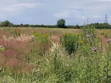 Bootonfield Park