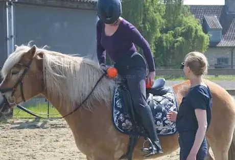 Equidream