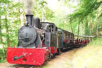 Photo de Train Forestier d'Abreschviller en Moselle