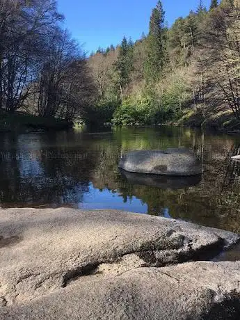 Photo de Lords throat