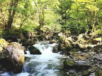 Photo de Source de la Nive