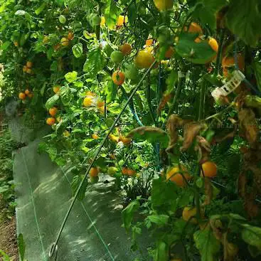 Photo de Ferme du Forezan