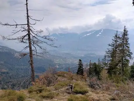 Vue panoramique