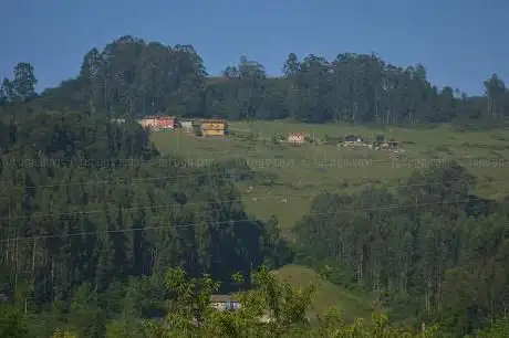 Photo de Alto el Pedroso