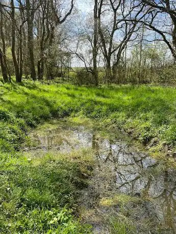 Photo de Raveley Wood