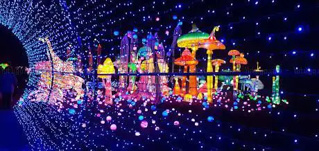 festival luminescences