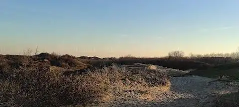 Dune Marchand