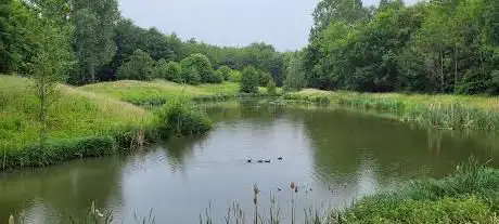 Photo de Peutiebos-Floordambos Natuurpunt