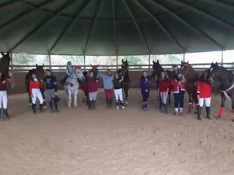 Centro Equestre L' Olivo della Rosa