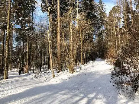 Kienastenwiesweg
