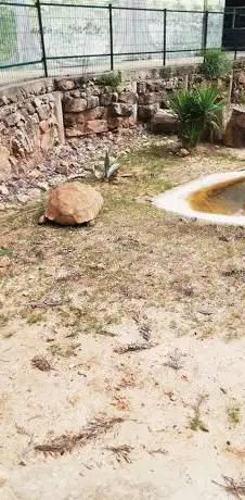 Terra Exótica