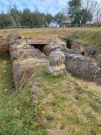 Photo de Nécropole des Pianacce