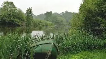 Photo de La Cicadelle