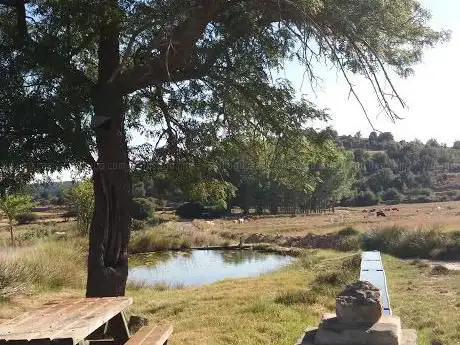 Photo de Merendero Barraca Alta El Castellar