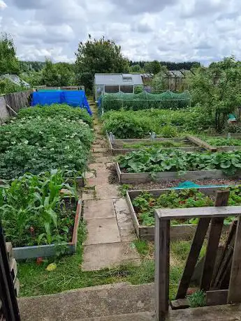 Gypsyville Allotment