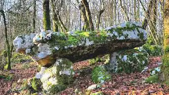 Arboretum du Bois de Saint Paul