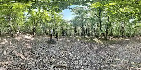 Photo de Bosco Racroce