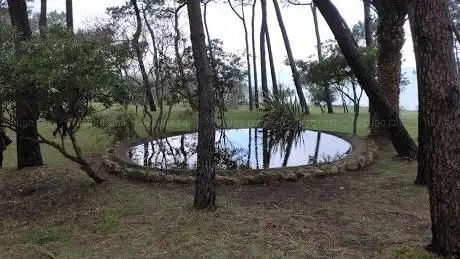 Photo de Estanque secreto de la Magdalena