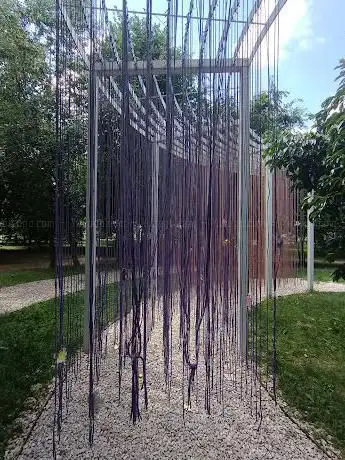Photo de Kaki Tree Project