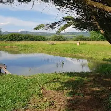 Le Parc De L'étang